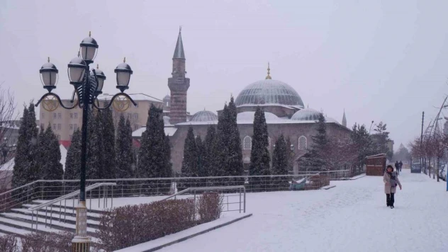 Erzurum'da Mart kapıdan baktırdı