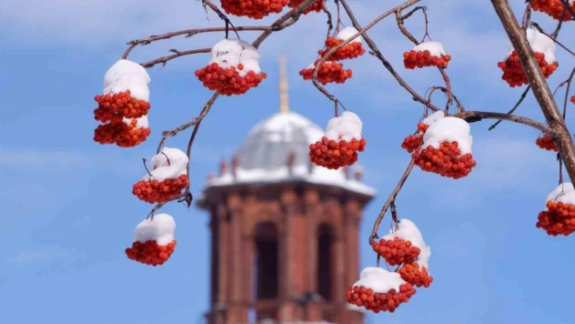 Erzurum'da termometreler -21 dereceyi gördü