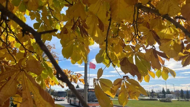 Eskişehir'de kampüsten hayran bırakan sonbahar manzaraları