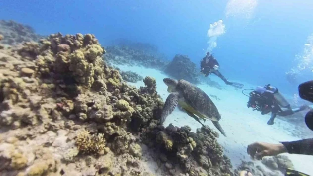 Eskişehir'den yola çıkan ekip, Mısır'ın sualtı güzelliklerini kaydetti