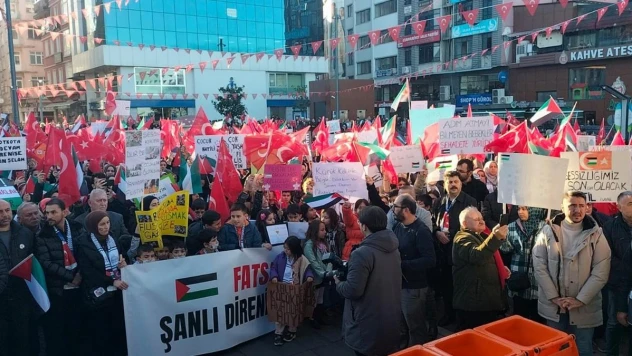 Fatsa'da 'Büyük Filistin Yürüyüşü'
