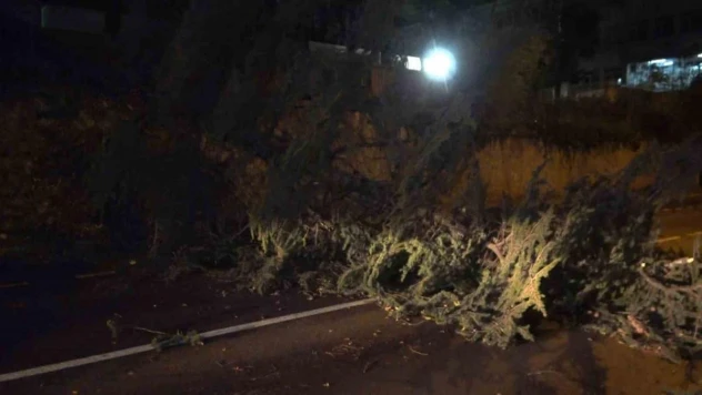 Fırtına Bursa'yı yıktı geçti...Otobüsün üzerine uçan çatı 2 yolcuyu yaraladı