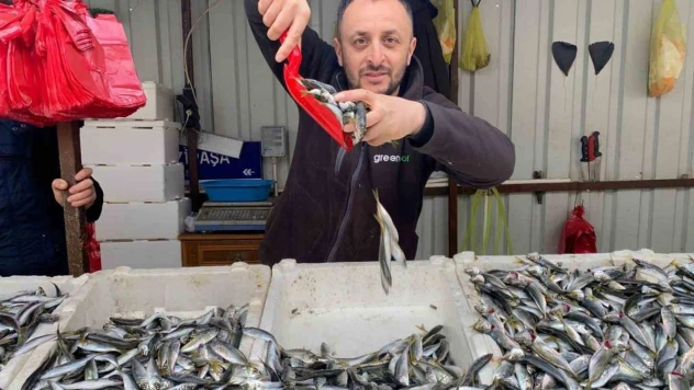 Fiyatların artışı balığa olan ilgiyi azalttı