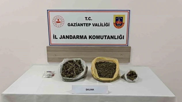 Gaziantep'te skunk operasyonu: 1 tutuklama
