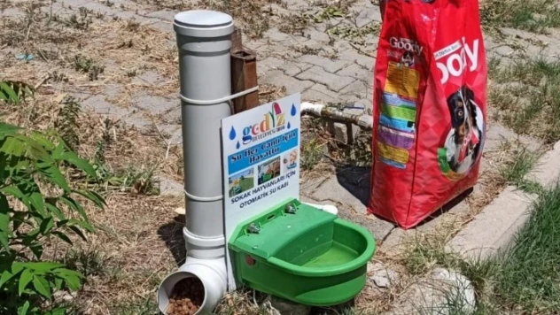 Gediz'de sokak hayvanları unutulmadı