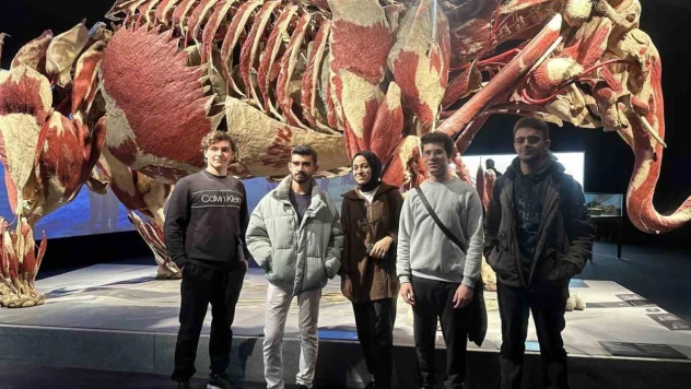 Gerçek hayvanların anatomi sergisinde 3.2 ton ağırlığındaki fil Samba İstanbulluların ilgi odağı oldu