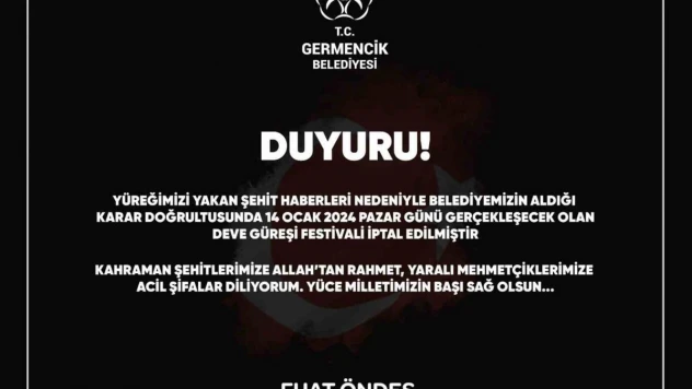 Germencik Deve Güreşi Festivali iptal edildi