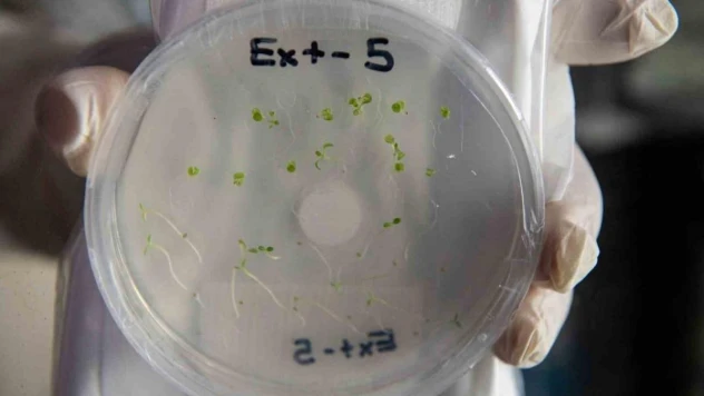 Gezeravcı, uzayda deney yaparken her gün görselleri Egeli ekip ile paylaştı