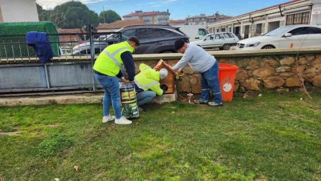 Gömeç'te sokak kedilerine, kedi evi