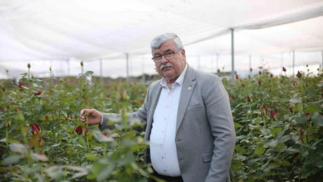 Gül kazandırdı, üretici çoğaldı