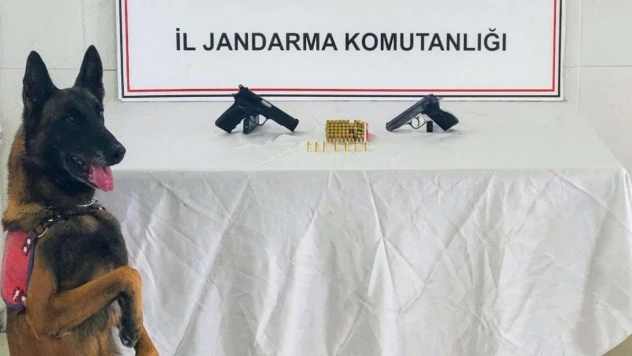 Gümüşhane'de ruhsatsız tabanca ve kaçak alkol operasyonunda 2 kişi yakalandı