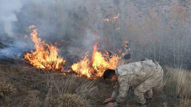 Gümüşhane'deki örtü yangınında 5 hektarlık alan zarar gördü