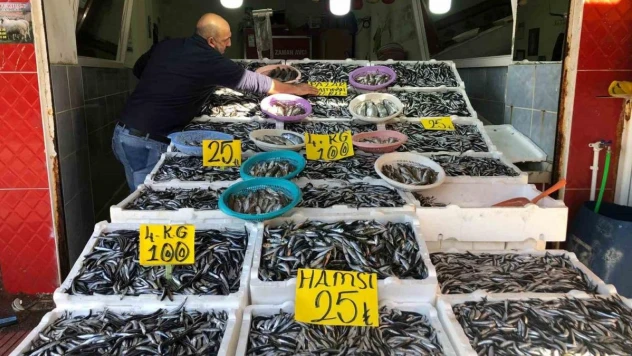 Hamside kampanya yaptı: 18 kiloluk hamsi kasasını 250 TL'den satışa çıkardı