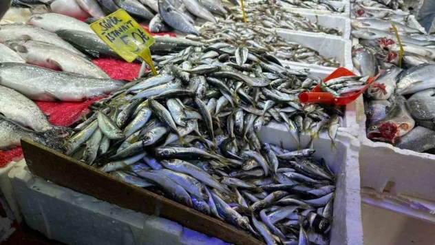 Havalar soğudu, balığa olan ilgi arttı