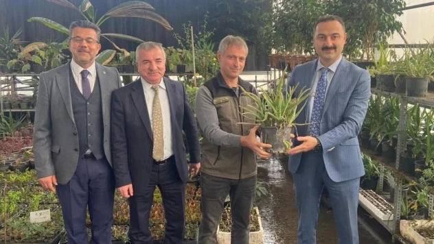 Havza OSB, dikilecek 117 bin fidanla 'yeşil OSB' olacak