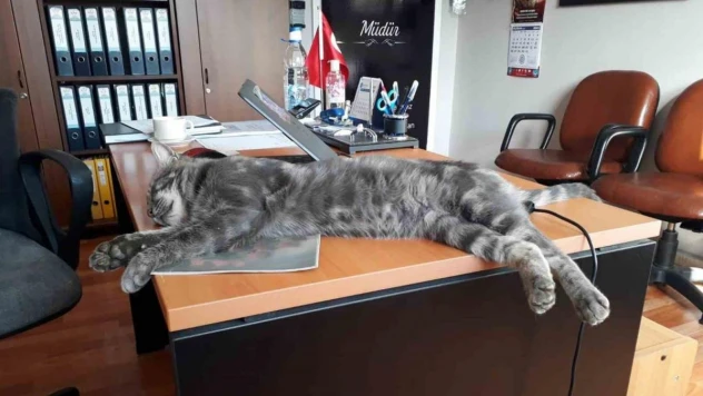 Hayvan sevgisini çocuklara aşılıyorlar