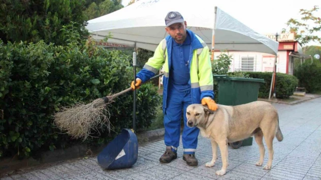 Her gün birlikte mesai yapıp, birlikte dinleniyorlar