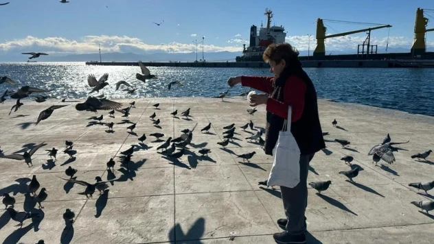 Her sabah sahildeki kuşları yemliyor