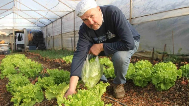 Hobi için başladı, ek gelir kapısı oldu