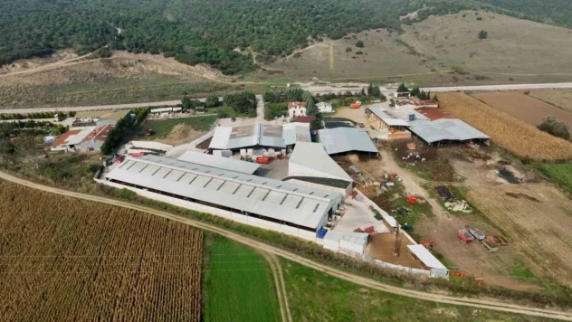 İki kardeş mühendisliği bırakıp çiftlik kurdu