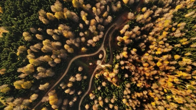 İstanbul'un yanı başında: Eşsiz manzara, bol oksijen