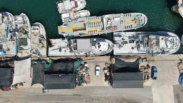 İzmir'de deniz kirliliği balığı vurdu: Sardalyasız sezon kapıda