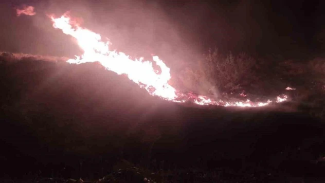 İzmir'de makilik alanda yangın