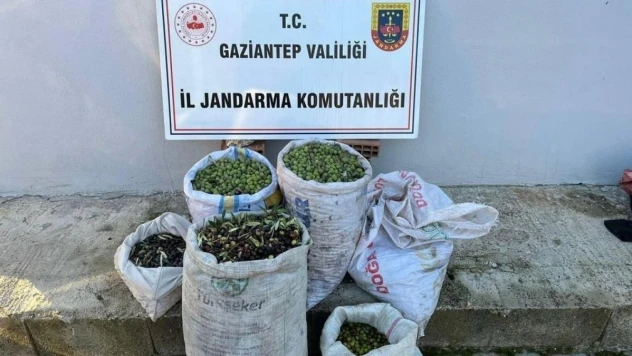 Jandarma ekipleri hırsızlara göz açtırmıyor