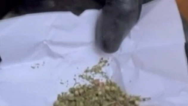 Jandarmadan nefes kesen eş zamanlı operasyon: 6 gözaltı