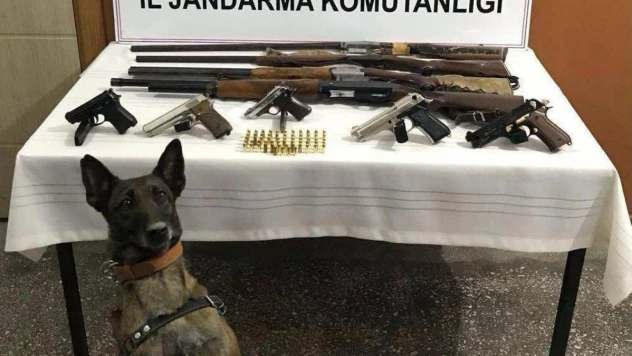 Jandarmadan ruhsatsız silah operasyonu