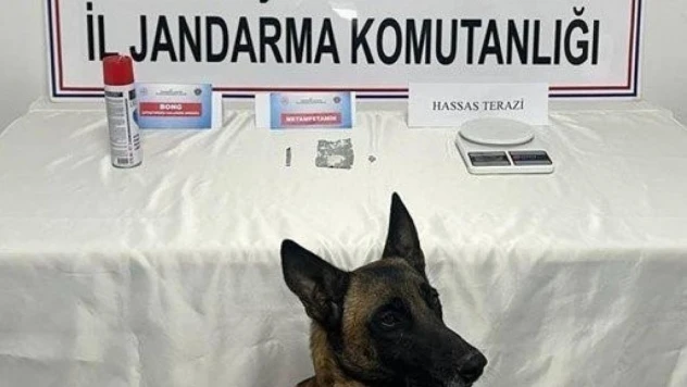 Jandarmanın uyuşturucu ile mücadelesinde 2 şahıs tutuklandı