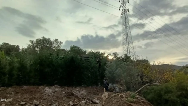 Kaçak inşaatı, dallarla gizlemeye çalıştılar