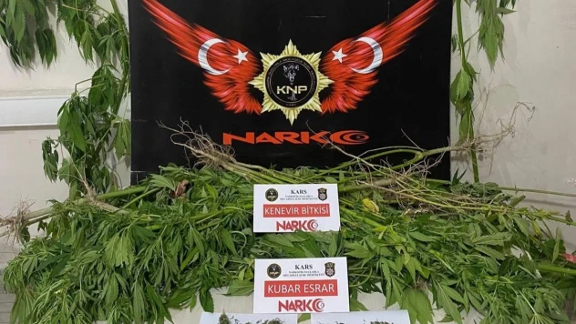 Kağızman'da esrar ve hint keneviri ele geçirildi