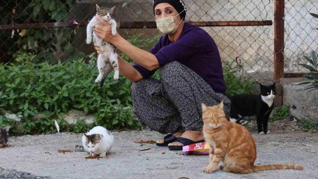 Kanser hastası kadın hayata hayvanlarla tutunuyor