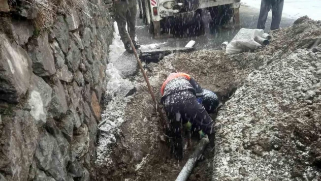 Kar yağışı altında hummalı çalıma