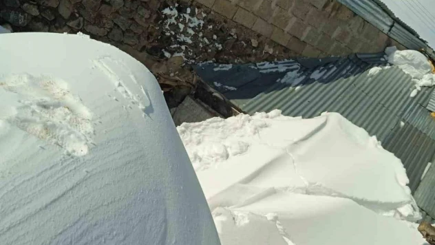 Karın ağırlığına dayanamayan ahır çöktü