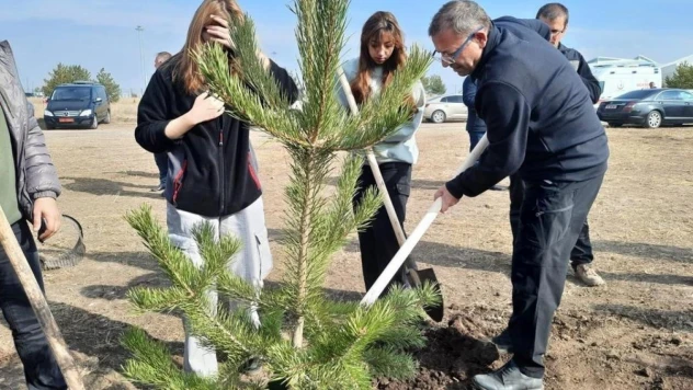 Kars'ta fidanlar toprakla buluşturuldu