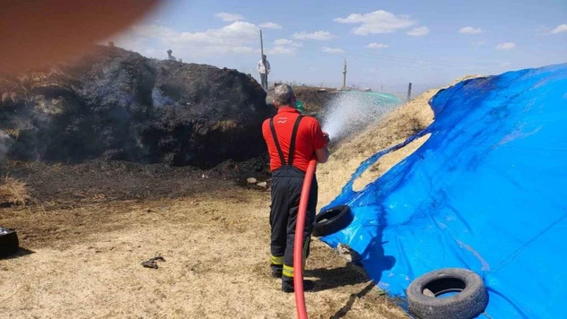 Kars'ta ot yangını itfaiye ekiplerince söndürüldü