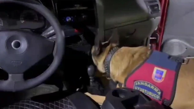 Kars'ta uyuşturucu hassas burunlu Termal'e takıldı