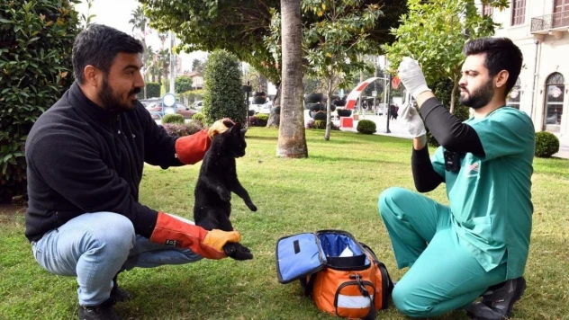 Kaşlı Bakımevi binlerce 'Can Dostun' yaşamına dokundu