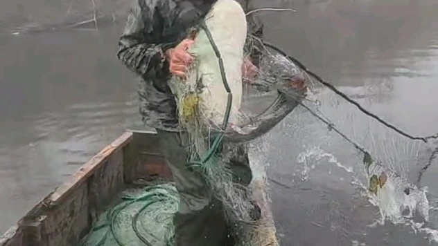 Kayık dolusu balık tutan Trakyalının coşkusu