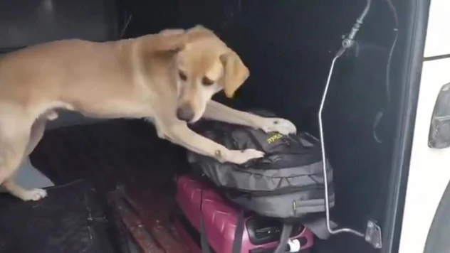 Kayseri polisi uyuşturucuya geçit vermedi: 3 günde 19 kişi tutuklandı