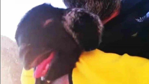 Keçi yavrusu ile kurtarıcısının güldüren diyaloğu