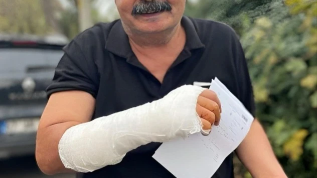 Kedilerin kavgasını ayırmak isterken kolundan yaralandı