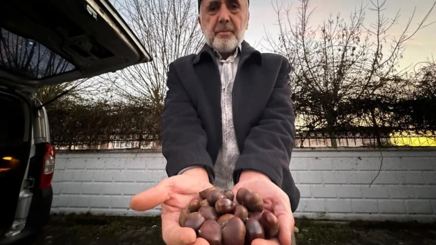 Kestane pişirmenin püf noktaları