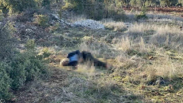 Kilis'te alzaymır hastası yaşlı adam ölü bulundu