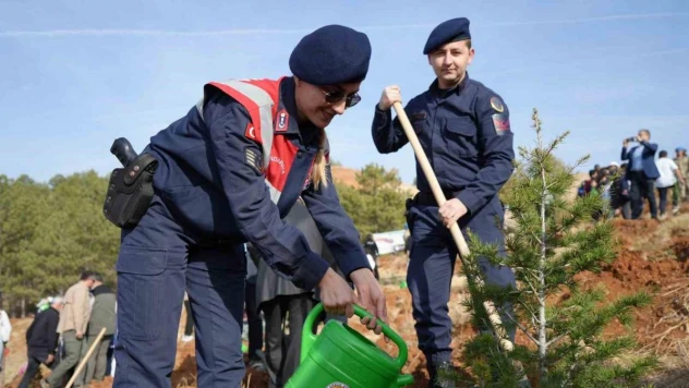 Kırıkkale'de '100. Yıl Cumhuriyet Ormanı' oluşturuldu