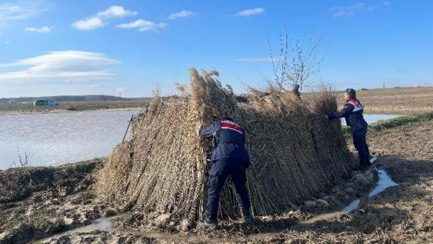 Kırklareli'de gümeler denetlendi