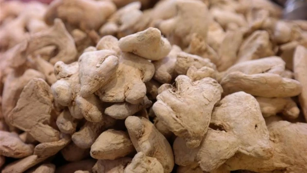 Kış aylarında direnç artırmanın yolu: Zencefil