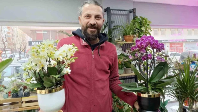 Kışın çiçek bakımında bunlara dikkat edin